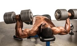 How To Build Shoulder Muscle with Dumbbells